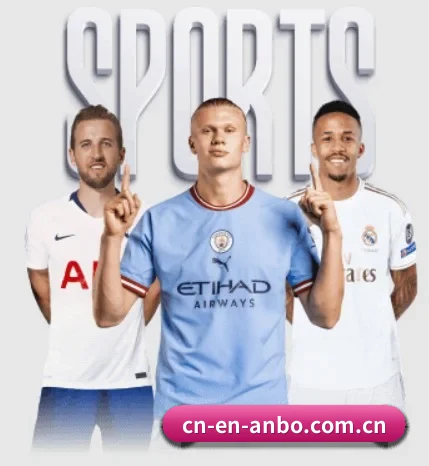 五个功能入口,赛程查询路径更短（ambosports）